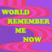 The Go! Team - World Remember Me Now