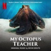 My Octopus Teacher (Music from the Netflix Documentary) artwork