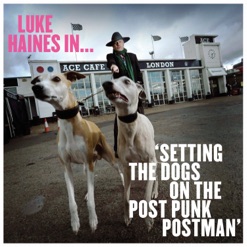 IN SETTING THE DOGS ON THE POST PUNK cover art