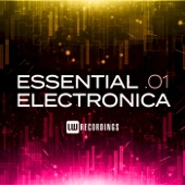 Essential Electronica, Vol. 01 artwork