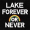 Magazine - LAKE lyrics