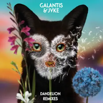 Dandelion (Pandapush Remix) by Galantis & JVKE song reviws