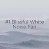 Fan White Noise song lyrics