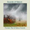 Rain, Thunder and Nature Sounds album lyrics, reviews, download
