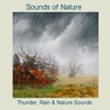 Rain, Thunder and Nature Sounds, 2017