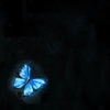 Julius Rodriguez - butterfly