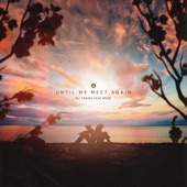 Until We Meet Again artwork