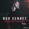 Sönmüyor Ateşimiz - Single