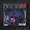 Dum by Bolaget iTunes Track 1