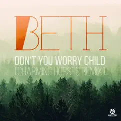 Don't You Worry Child (Charming Horses Remix) Song Lyrics