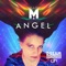 Angel (Album Edit) artwork