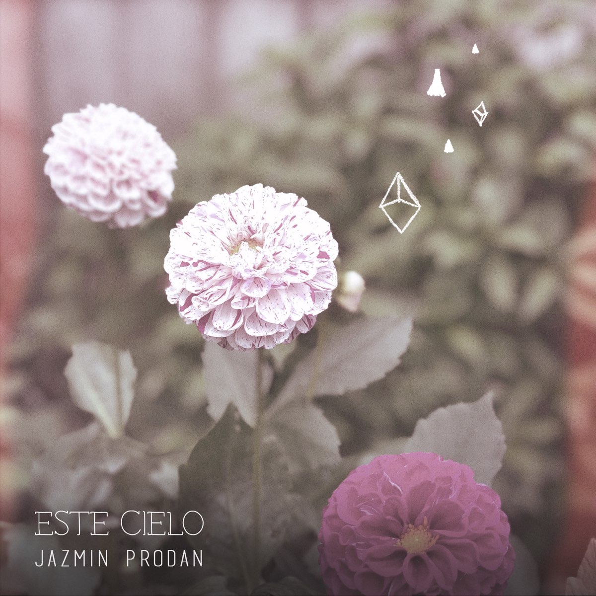 Este Cielo - Single de Jazmín Prodan en Apple Music