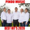 Pindu Music Best Hit's 2020, 2020