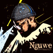 Nguwe (feat. O.T.) artwork
