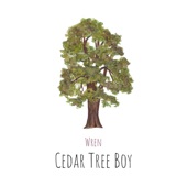 Wren - Cedar Tree Boy (feat. Krista Detor) feat. Krista Detor