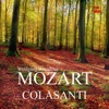 Mozart Colasanti artwork
