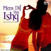 Tasveer Haseen Dil Mein artwork