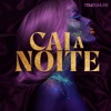 Cai a Noite - Single