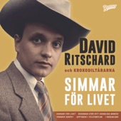 Simmar för livet (feat. David Ritschard) - EP artwork