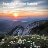 Simon Armitage - Peaceful Mother Nature