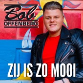 Zij Is Zo Mooi artwork