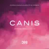 Canis (Jerome Isma - Ae Remix) song lyrics