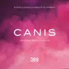 Stream & download Canis (Jerome Isma - Ae Remix)