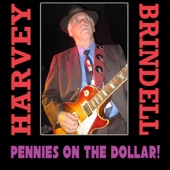 Harvey Brindell - Pennies on the Dollar (feat. Mitch Kashmar)