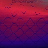 Opportunity