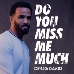 DO YOU MISS ME MUCH cover art