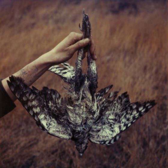 Cover artwork for Home Wrecker