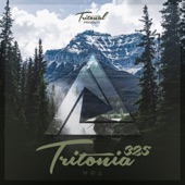 Tritonia 325 artwork