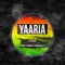 Yaaria (feat. Badal Talwan & Roach Killa) - DJ Dips lyrics