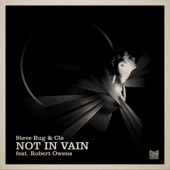 Not in Vain (feat. Robert Owens) [Dub Mix] artwork