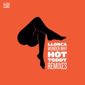 Wonderwhy: Hot Toddy Remixes - Single artwork