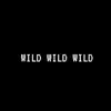 Wild Wild Wild - Single album lyrics, reviews, download