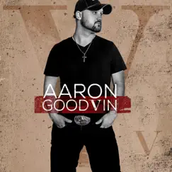 V by Aaron Goodvin album reviews, ratings, credits