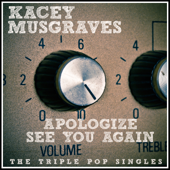 Apologize (Acoustic Version) - Kacey Musgraves