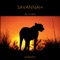 Solar Soul - DJ Chris lyrics