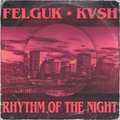 Rhythm of the Night artwork