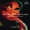 Reinhard Goebel Musica Antiqua Koln - Trio Sonata in D minor for 2 Violins and Continuo, Op.1/12, RV63 'La Follia'