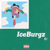 IceBurgz (feat. Rokkai & Smiles) - Single album lyrics, reviews, download
