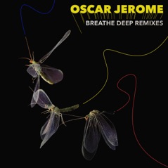 Breathe Deep Remixes - EP