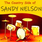 The Country Side of Sandy Nelson artwork