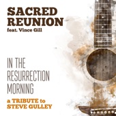 In the Resurrection Morning (feat. Vince Gill, Barry Abernathy, Mark Wheeler, Doyle Lawson, Tim Stafford, Phil Leadbetter, Jim VanCleve & Jason Moore) artwork