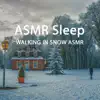 Asmr Sleep (Walking in the Snow ASMR) album lyrics, reviews, download