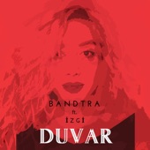 Duvar (feat. İzgi) artwork