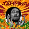 Bob Marley & The Wailers - Jamming (feat. Tiwa Savage)