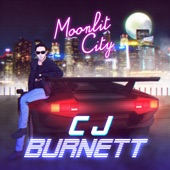 Moonlit City artwork