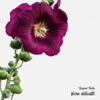Fiore Delicato - Single